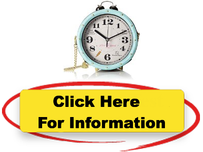 Introduction Betsey Johnson Kitchi Clock BJ44430 Cross Body Bag